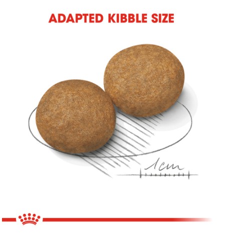 [THANH LÝ - DATE 23/08/2022 ] Hạt Royal Canin Medium Adult Cho Chó Trưởng Thành Size Vừa 11-25KG | Bao 1kg