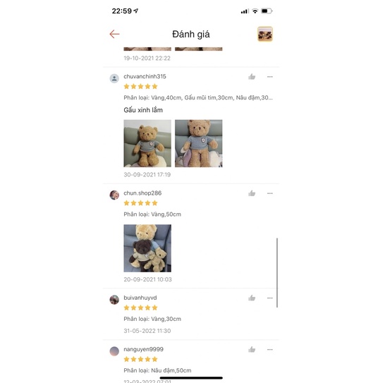 GẤU TEDDY LÔNG XOẮN ÁO LEN CAO CẤP