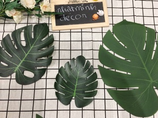 Combo 3 chiếc lá cọ làm phụ kiện chụp ảnh