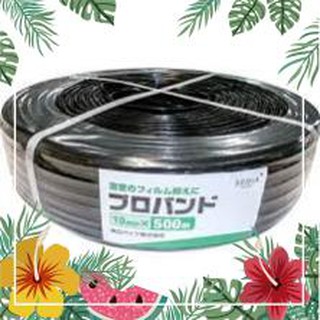 Dây nhựa nẹp mái nylon nhà kính Nhật Bản - SMARTGARDEN - dây nẹp mái nông nghiệp công nghệ cao - proband
