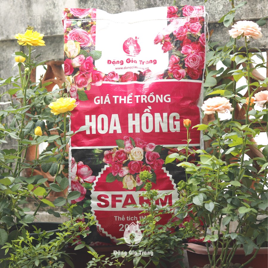 Giá thể trồng hoa hồng SFARM - BAO 20DM3 ~ 7KG - Seeds1