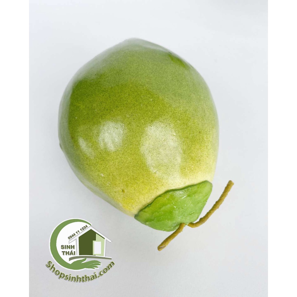 Trái dừa xiêm màu nâu và màu xanh - quả dừa giả cao cấp - Chọn loại