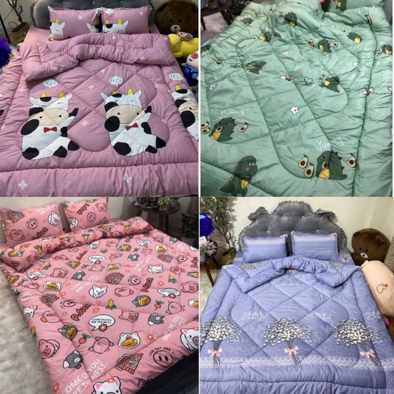 Chăn Phao poly cotton dày dặn ấm mềm mịn