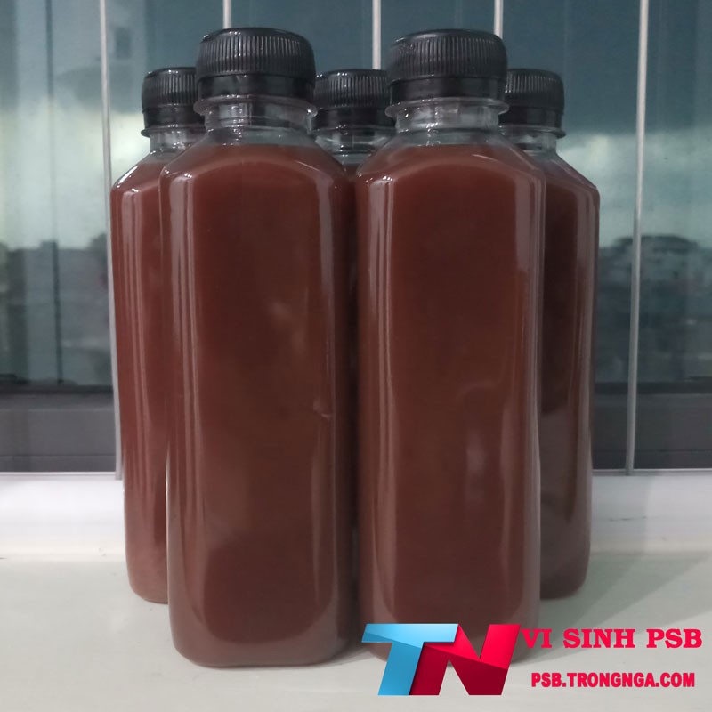 Vi khuẩn quang hợp PSB 350ml làm trong nước nuôi cá - Vi khuẩn quang hợp