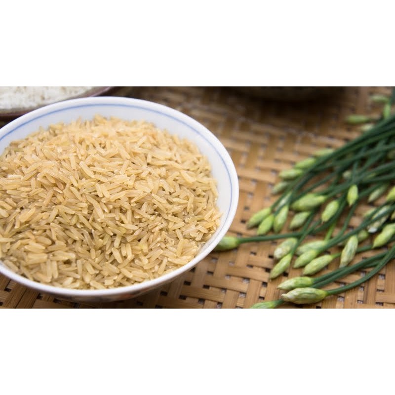 GẠO MẦM VIBIGABA  - MẪU MỚI