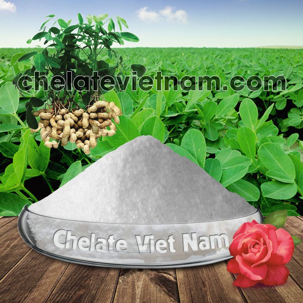Ammonium Molybdate  gói 100g