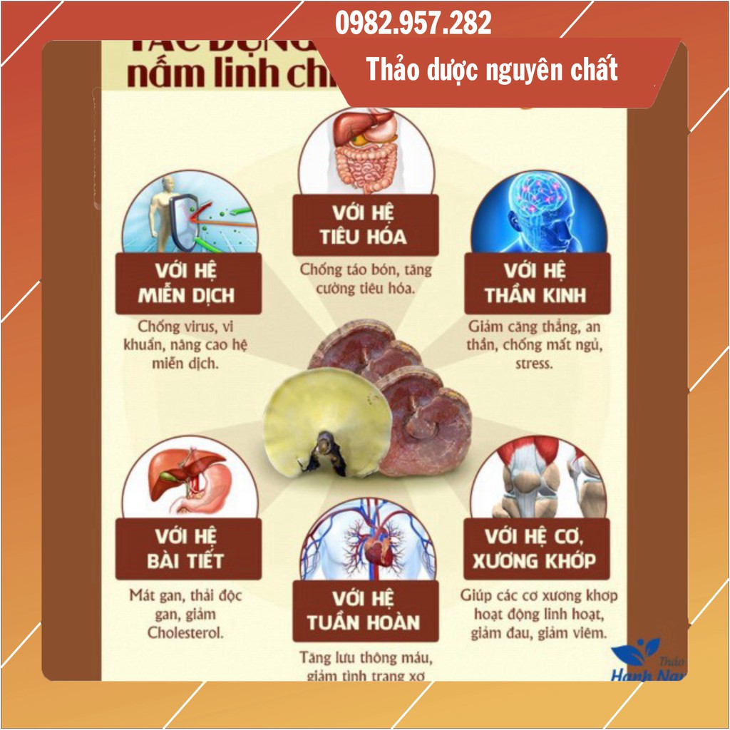 1kg Nấm Linh Chi Thái Lát (Có hút chân không) - Nấm Linh Chi Hàn Quốc - TDNC