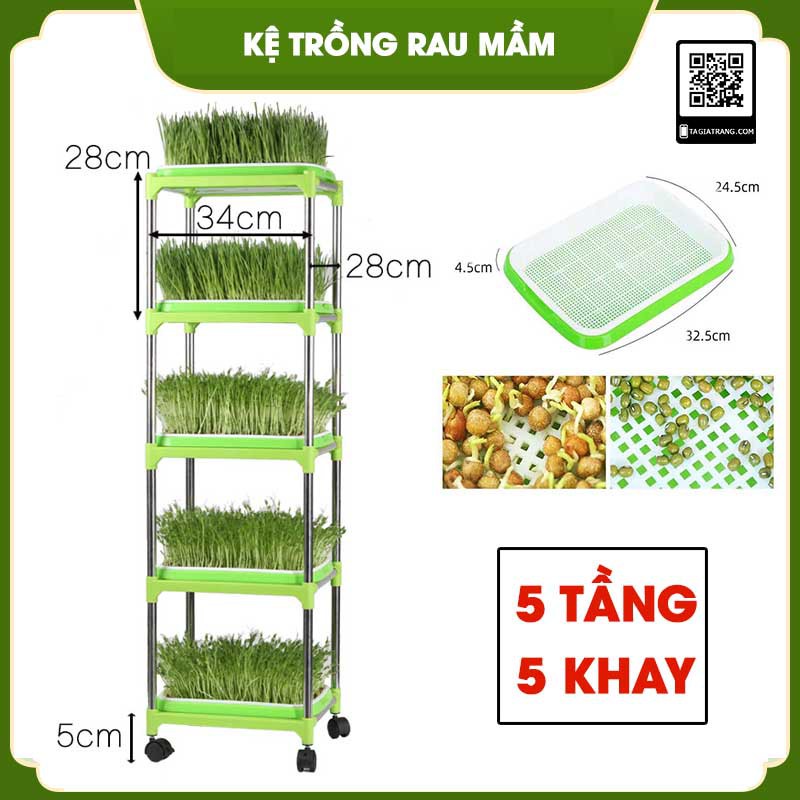 Bộ Kit giá khay trồng rau mầm thủy canh 5 tầng 5 khay