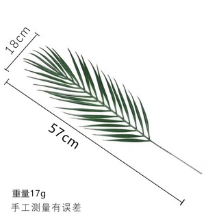(Sẵn) Lá dừa cảnh decor