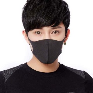 3 chiếc Khẩu Trang Pitta Mask