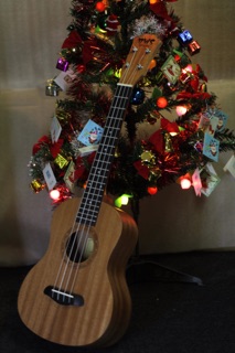 ẢNH THẬT - ĐÀN UKULELE TENOR BWS ÂM CỰC HAY
