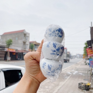 Cóng ăn Chào Mào Lư Hương Loại Đẹp