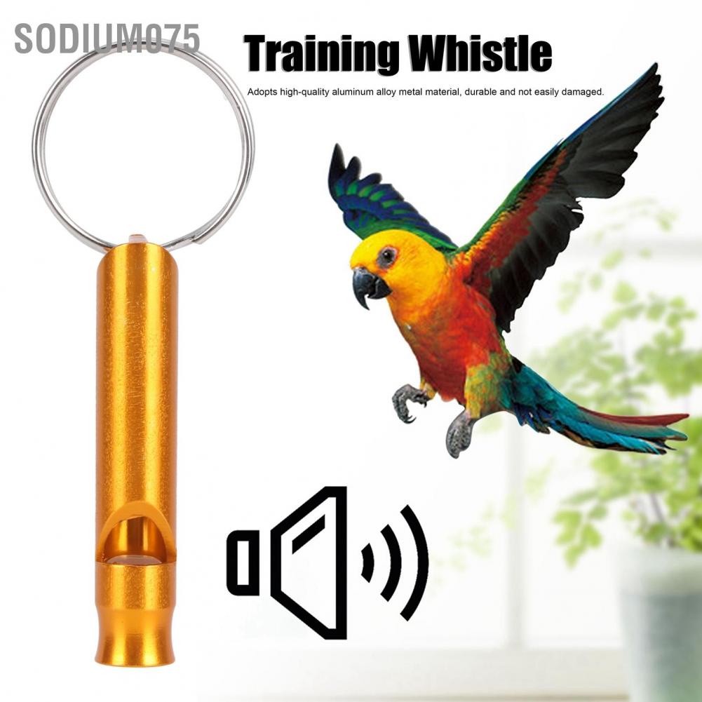 Hàng Hot Còi siêu âm cầm tay chim bồ câu công cụ huấn luyện chim cung cấp màu da cam Hàng giao ngaySodium075