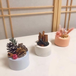 Chậu xi măng mini trồng sen đá, decor