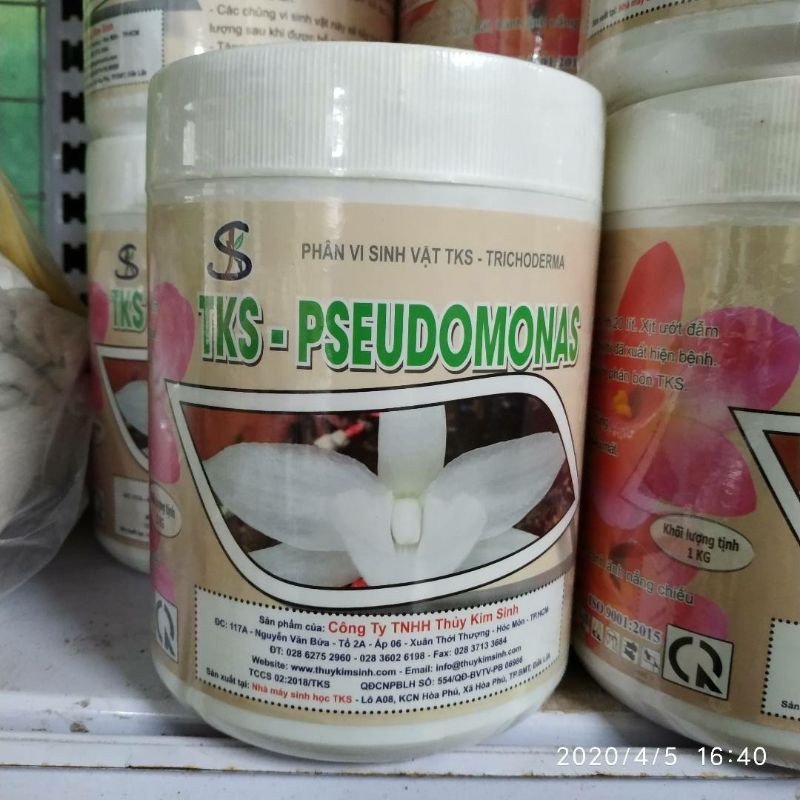 Combo 10 hộp TKS- PSEUDOMONAS 1kg cho hoa lan