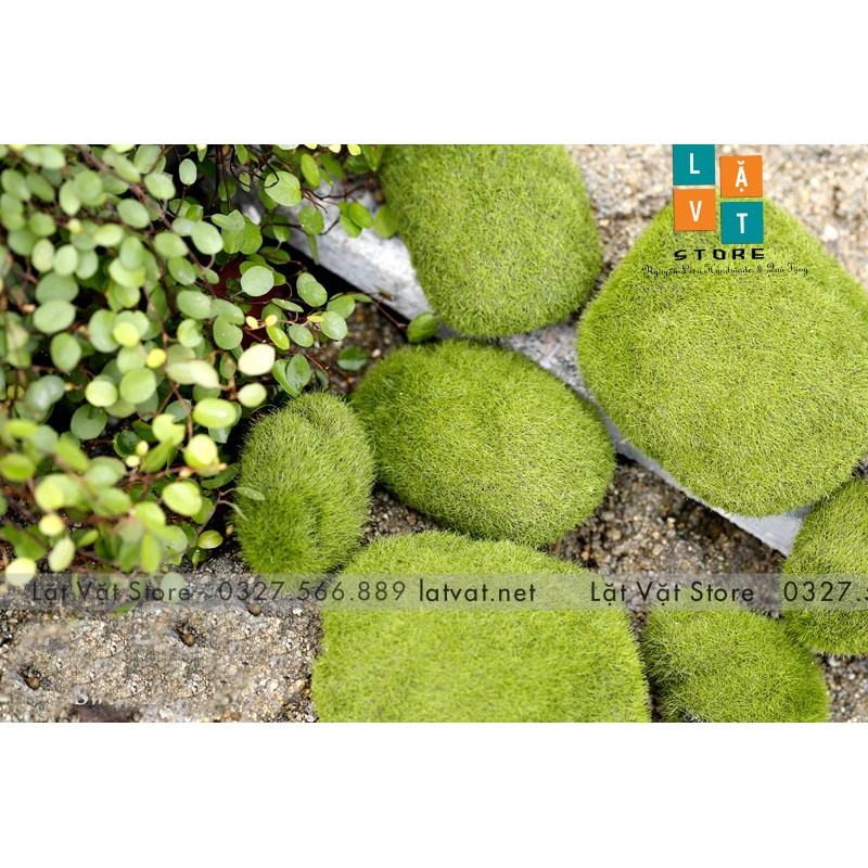 Mô Hình Đá Rêu Phong Micro Dùng Để Trang Trí Vi Tiểu Cảnh, Trang Trí Phong Cảnh - Đơn Giản Chân Thật Giá Rẻ Bất Ngờ
