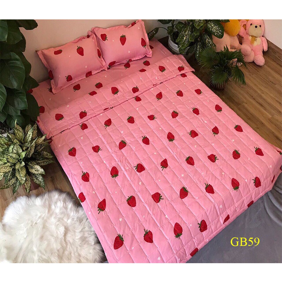 bộ chăn ga gối 5 món poly cotton | BigBuy360 - bigbuy360.vn