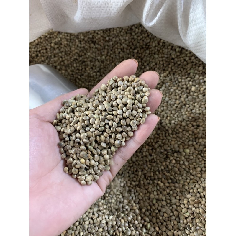 Hạt láng tròn 1kg