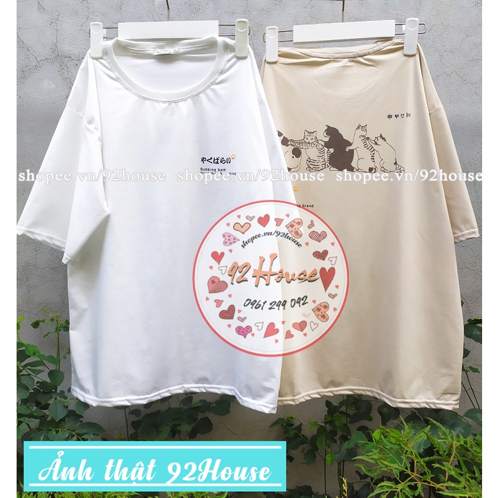 Áo thun tay lỡ unisex 5 con mèo freesize dáng rộng