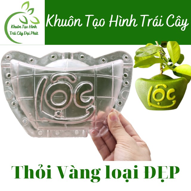 (Bưởi 1-1,4kg, dày 5 li bền đẹp)10 Khuôn Thỏi Vàng Số 2, Chữ Tài Lộc in nổi sắc nét, Khuôn Tạo Hình Trái Cây Loại Tốt