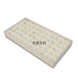 Hoa sáp cẩm chướng