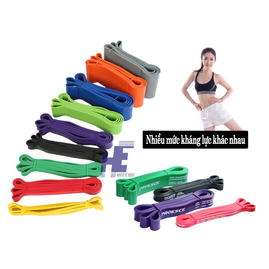 Dây kháng lực power band tập gym đa năng loại nặng hỗ trợ lên xà chính hãng proesce 15lbs, 35lbs-175lbs