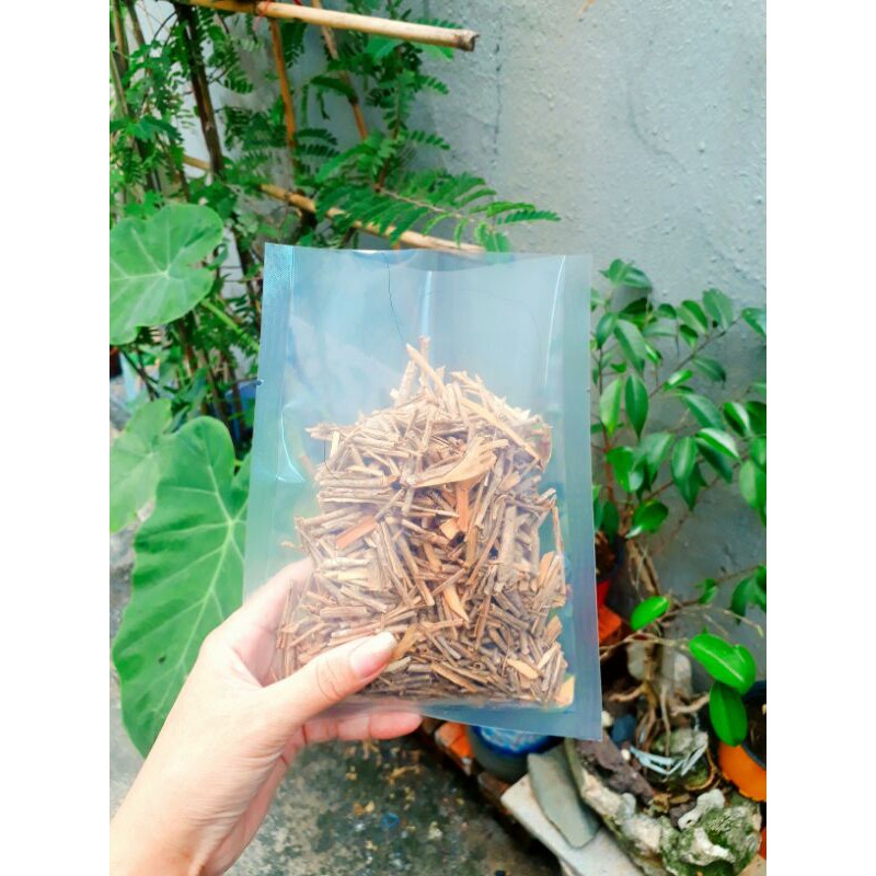 Ngũ gia bì thảo mộc thiên nhiên đã sao thơm