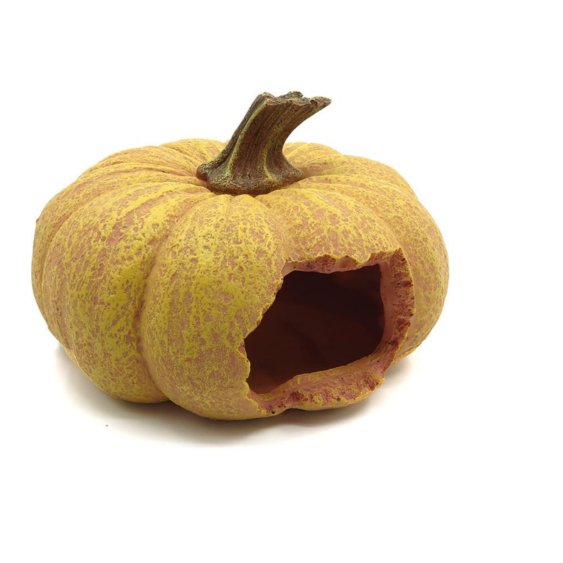 Bí Ngô (ngập tràn Halloween) trang trí bể cá, thuỷ sinh, bò sát, tarantula