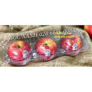 100 hộp nhựa đựng 3 trái táo