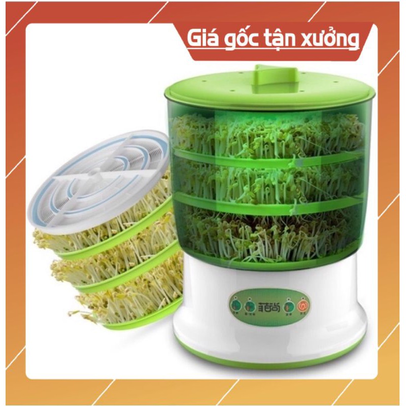 Máy làm Giá đỗ & Rau mầm tự động