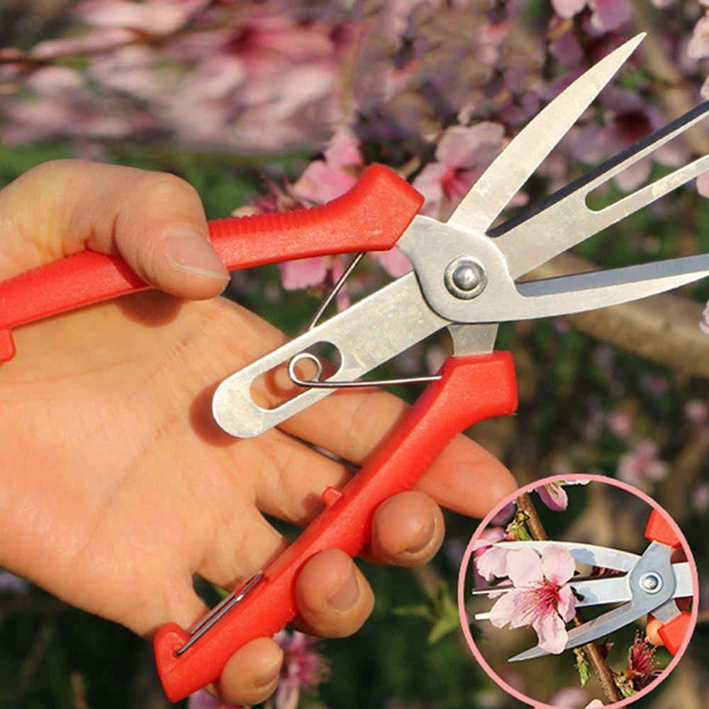 IVORY Kéo Cắt Tỉa Cành Làm Vườn Đa Năng Tiện Dụng