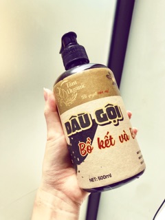 Dầu gội bồ kết và vỏ bưởi