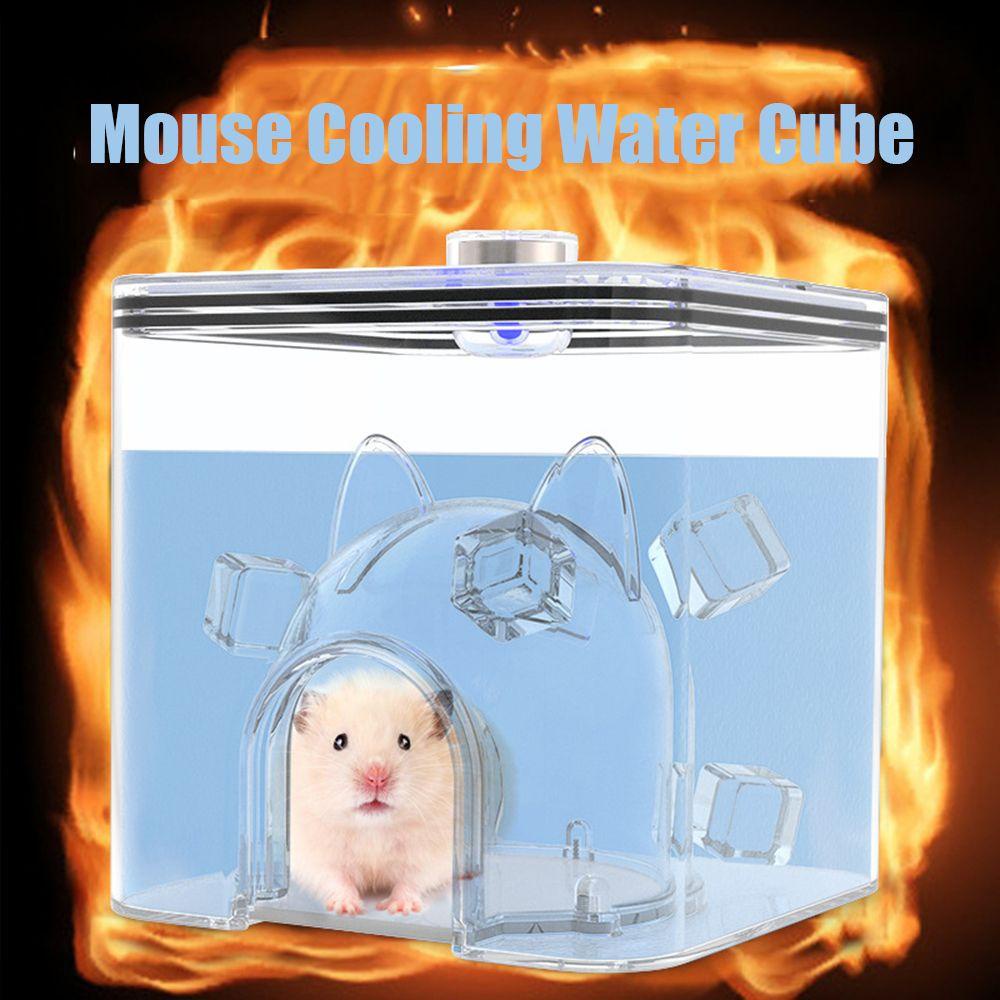 1 Tổ Làm Mát Có Đèn LED Cho Thú Cưng