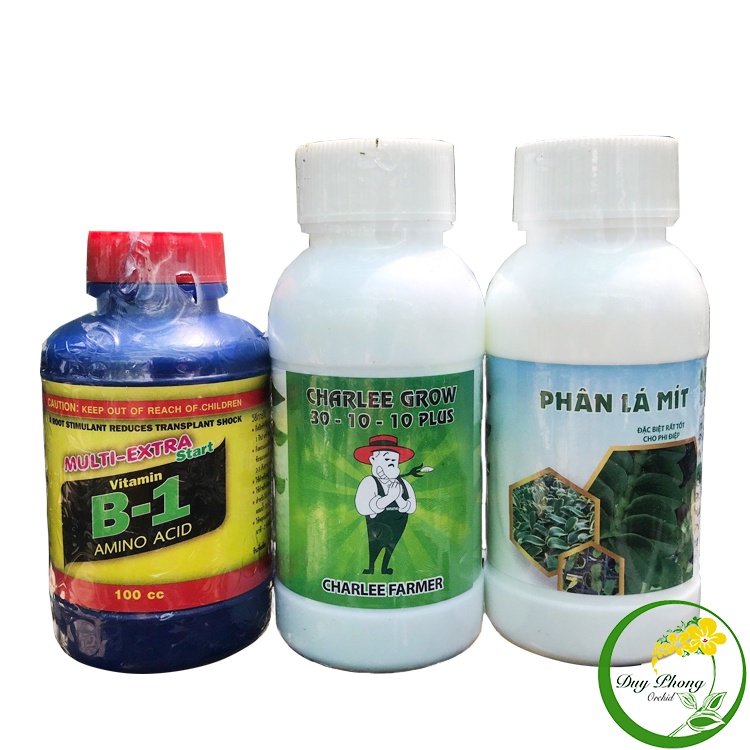 COMBO 3 - Phân lá mít