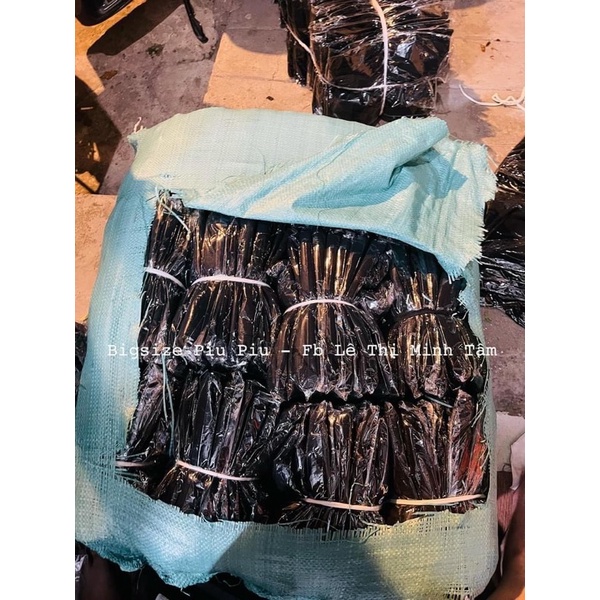 BAGGY LƯNG THUN BIGSIZE SIÊU Đep DÁNG