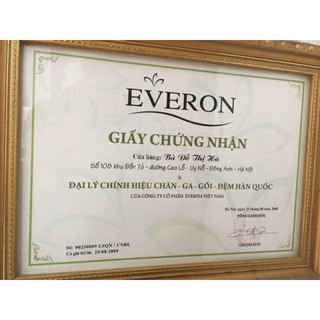 Đệm đa năng Everon giảm giá 50%