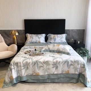 Set tencel chăn trần bông