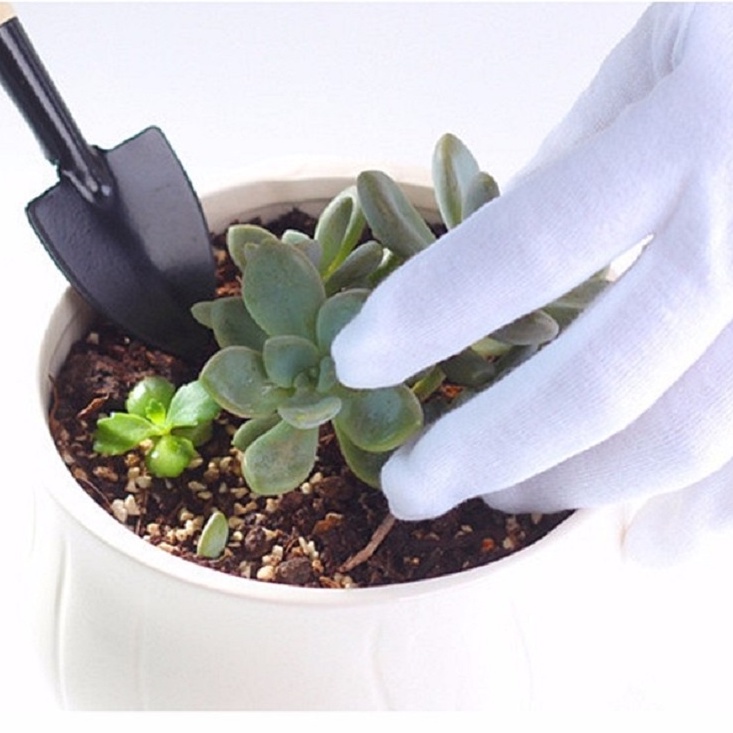 Bộ dụng cụ làm vườn mini 3 món chuyên dùng cho chậu cảnh mini, tiểu cảnh, sen đá 101183