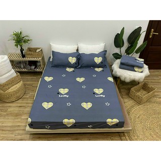 Ga trải giường cotton poly cao cấp