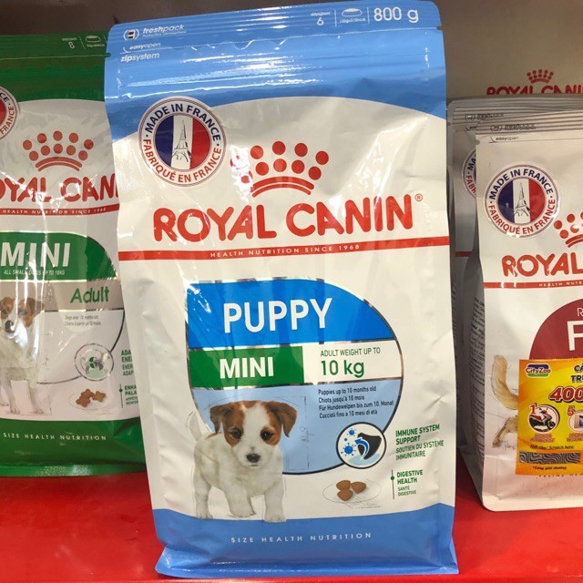 Thức ăn cho chó ROYAL CANIN MINI JUNIOR - 800g