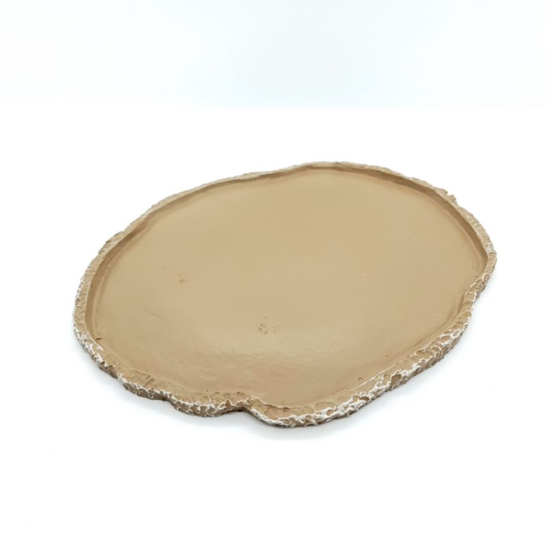 Chén ăn, uống cho rùa và bò sát