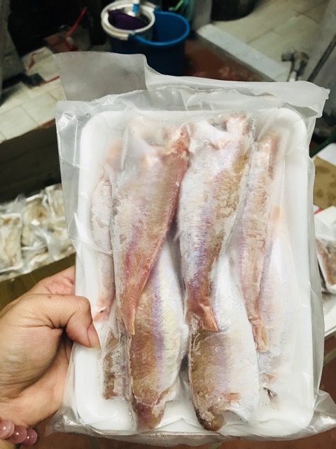 Cá hồng phèn 1 nắng