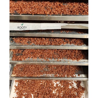 [ ĂN VẶT ] Cốm Gạo Lứt Sấy ROOTY, Thơm Ngon - Giòn Rụm.