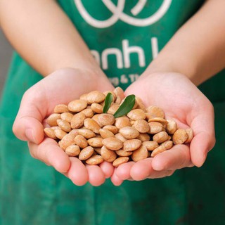 HẠT SACHI DAKLAK Loại 1