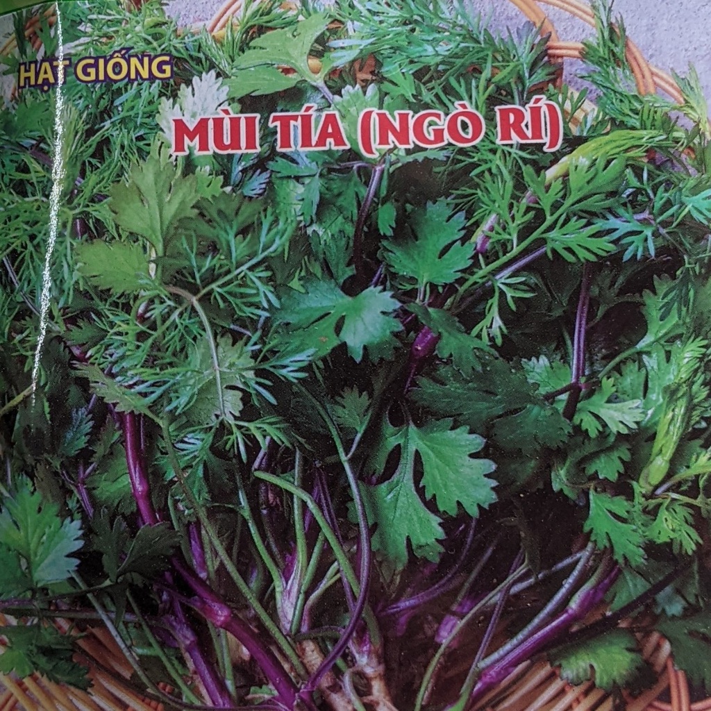 Hạt Giống Mùi Tía  50g