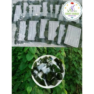 Lá sương sâm lông khô 100g + bột nang mực (hút chân không)