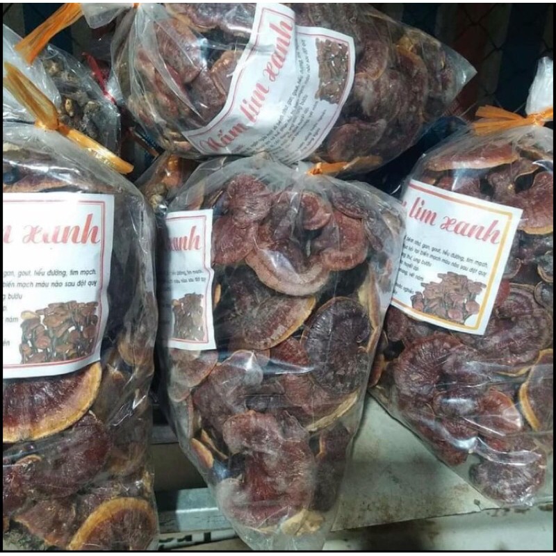 Nấm Lim Xanh Hàng Chuẩn - Đặc sản rừng