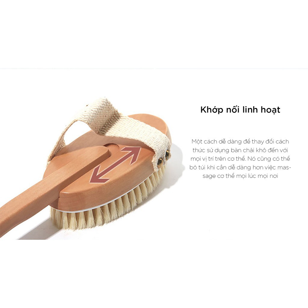 Bàn chải khô đa năng chăm sóc da đẹp xinh toàn diện | BigBuy360 - bigbuy360.vn