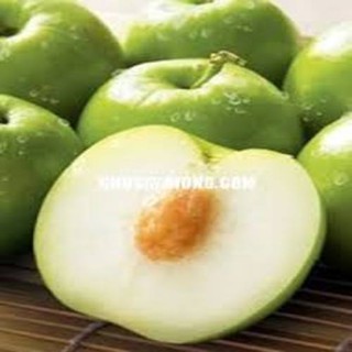 CÂY GIỐNG TÁO NGỌT