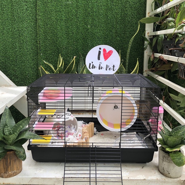 Nhà ngủ sứ hamster, VỎ SÒ xịn sò